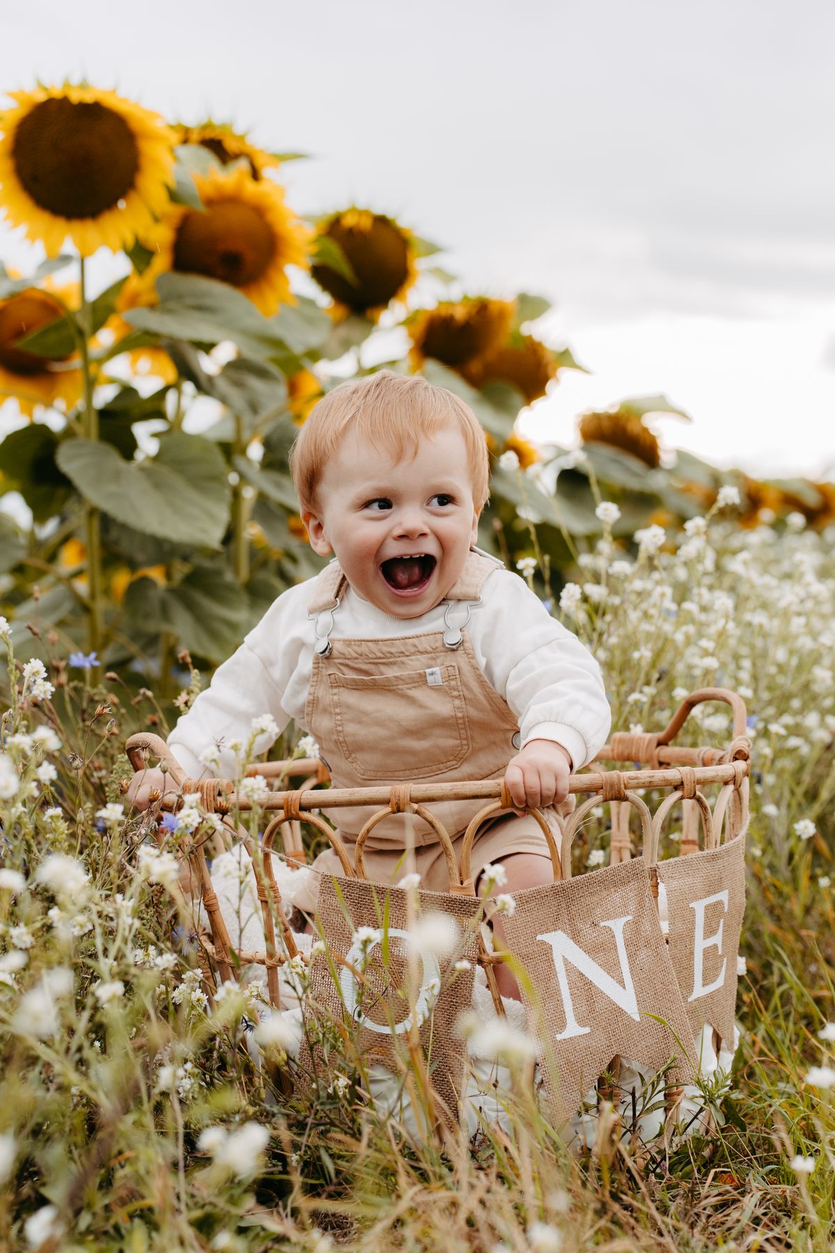 Erster Geburtstag im Sonnenblumenfeld – Kindershooting Berlin
