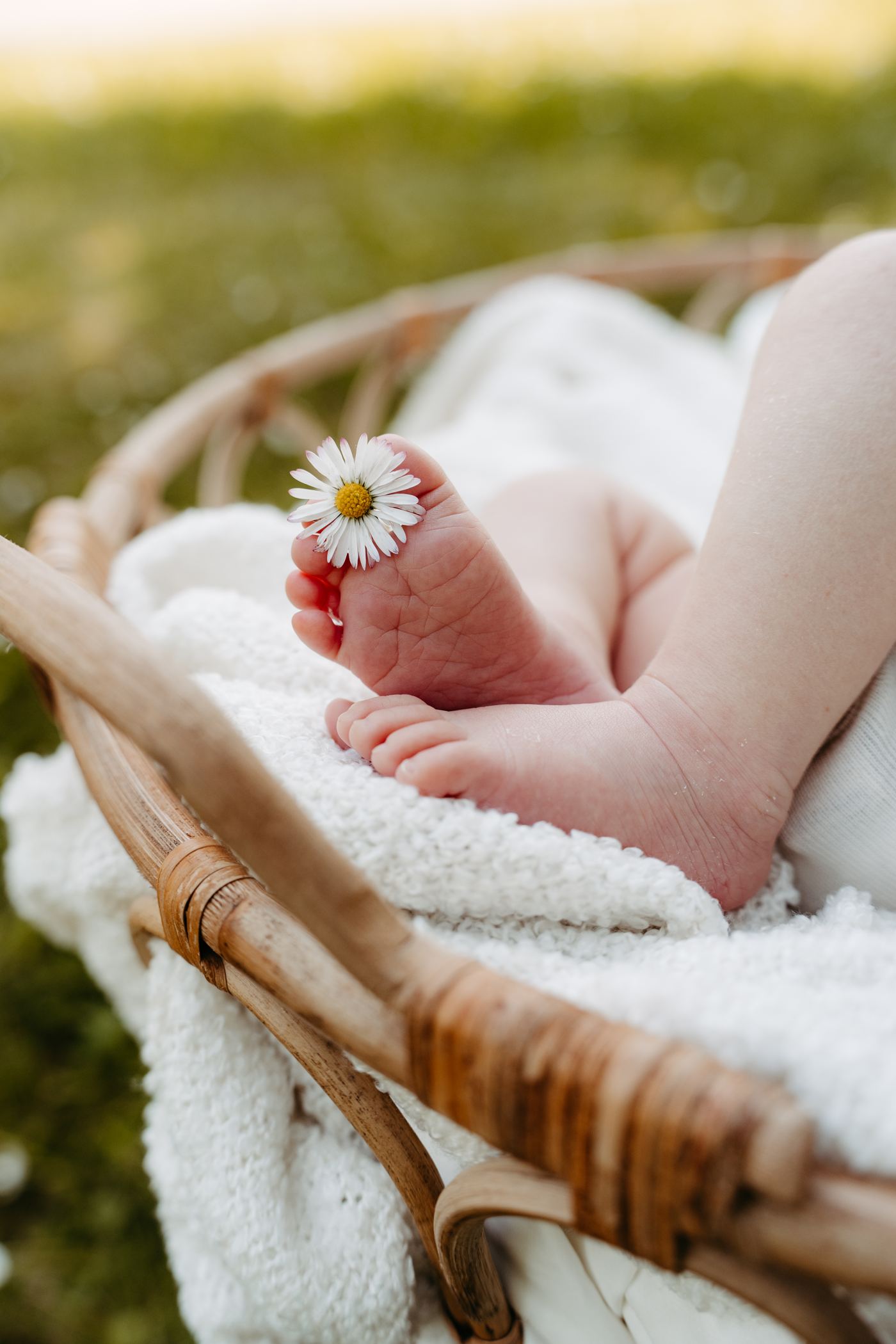 Einblick Newborn Details