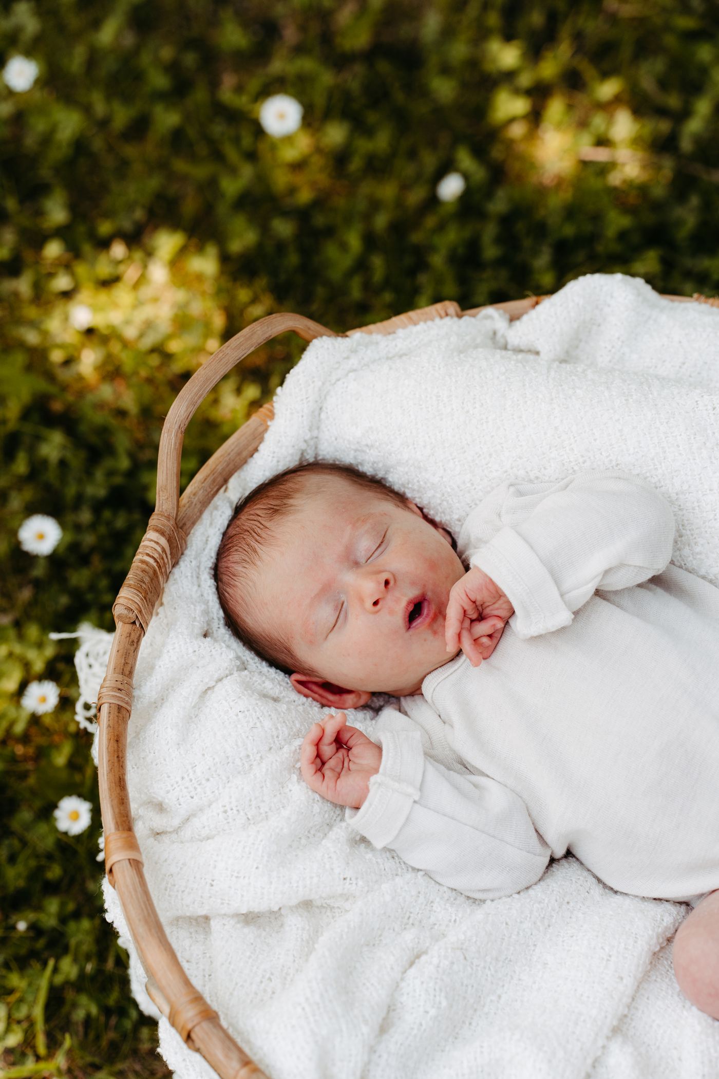 Einblick Newborn Outdoor