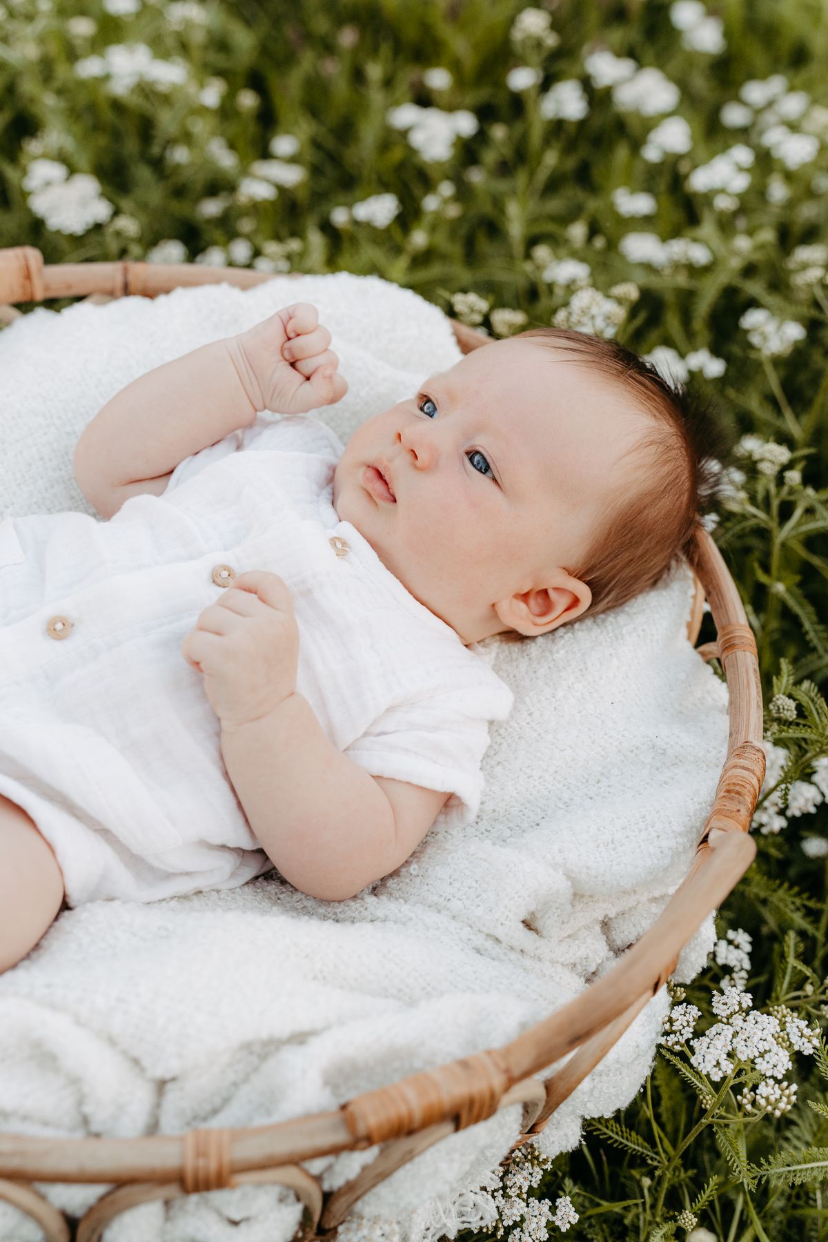 Newborn Shooting Berlin – Baby im Korb im Blumenfeld